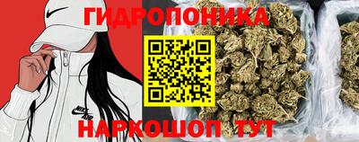бошки Гусь-Хрустальный