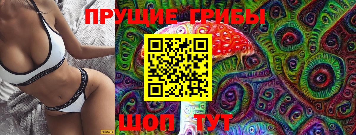 Псилоцибиновые грибы Psilocybe Воткинск