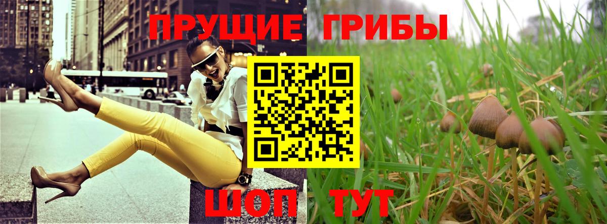 Псилоцибиновые грибы Cubensis  Псилоцибиновые грибы MAGIC MUSHROOMS  цены   Вход с VPN  Воткинск 